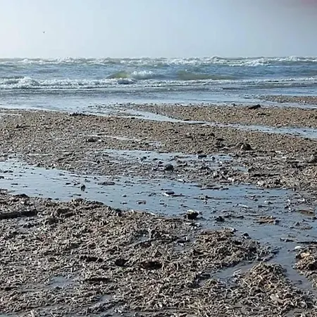 10 Person In Blavand